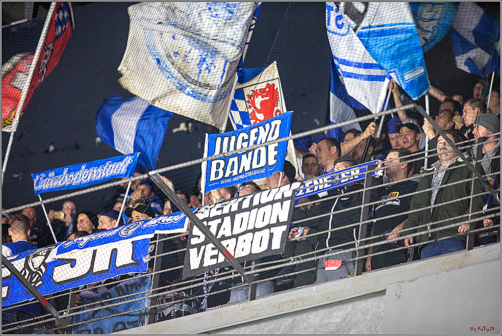 DEL; Koelner Haie - Straubing Tigers; Koeln, 17.11.2019